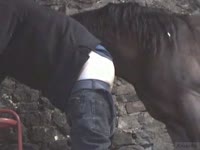 Gay animal sex with horse dick